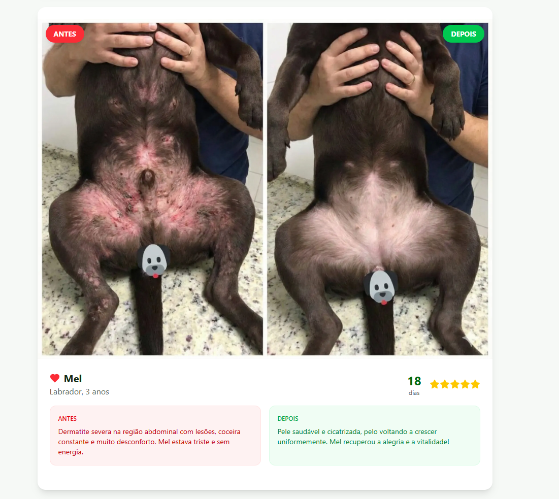 Transformação de Mel